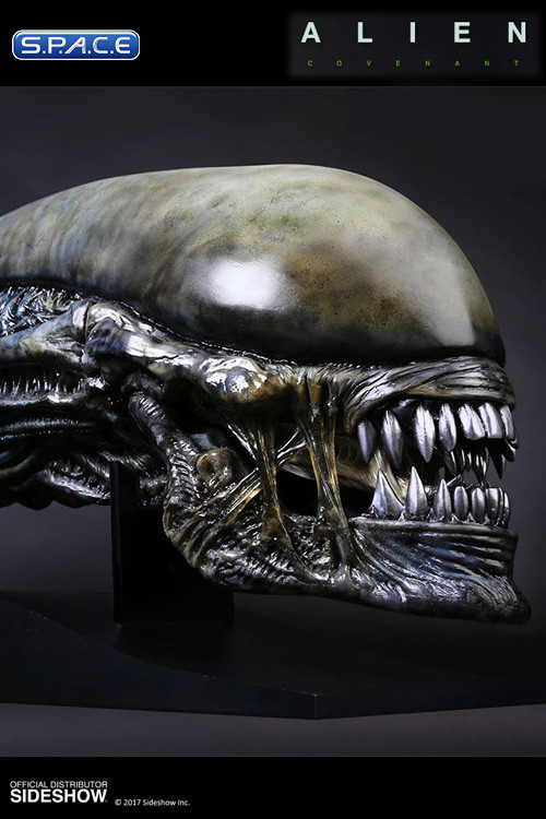 1:1 Xenomorph Life-Size Head (Alien: Covenant)
