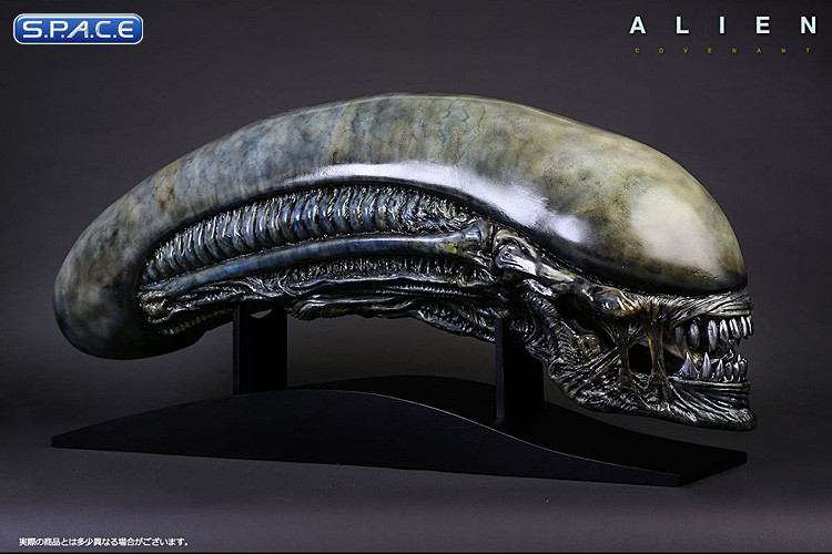 1:1 Xenomorph Life-Size Head (Alien: Covenant)