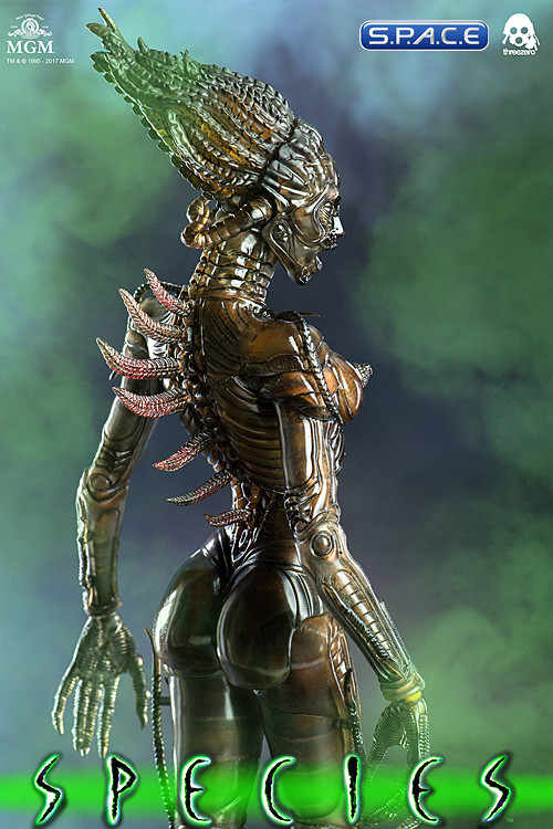 1/6 Scale Sil (Species)