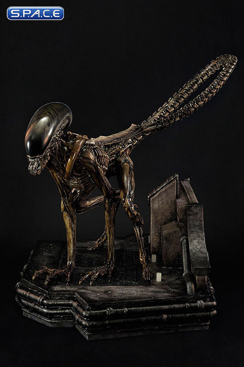 1/3 Scale Dog Alien Museum Masterline Maquette (Alien 3)