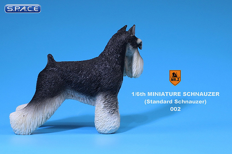 1/6 Scale black and white Schnauzer