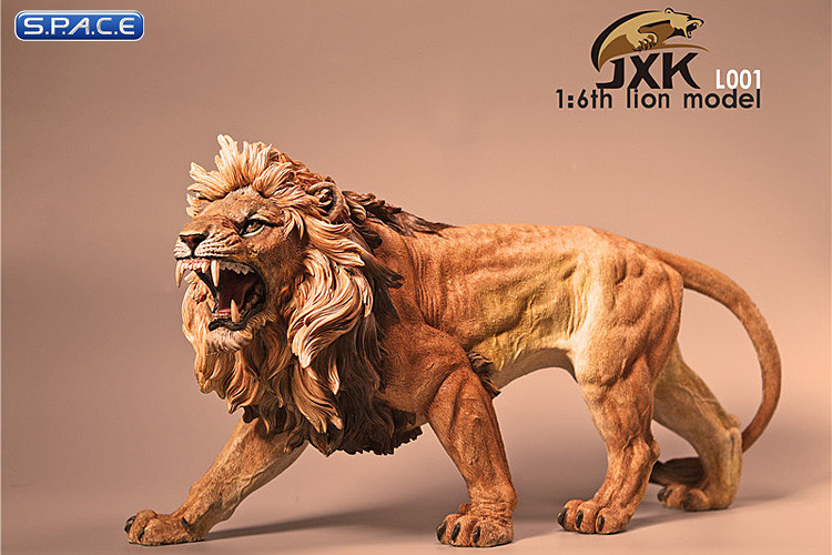 1/6 Scale African Lion deep color