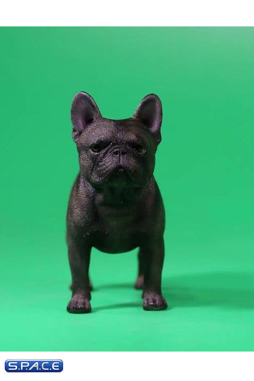 1/6 Scale tan French Bulldogs 3.0