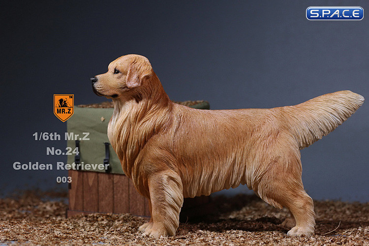 1/6 Scale Golden Retriever dark golden