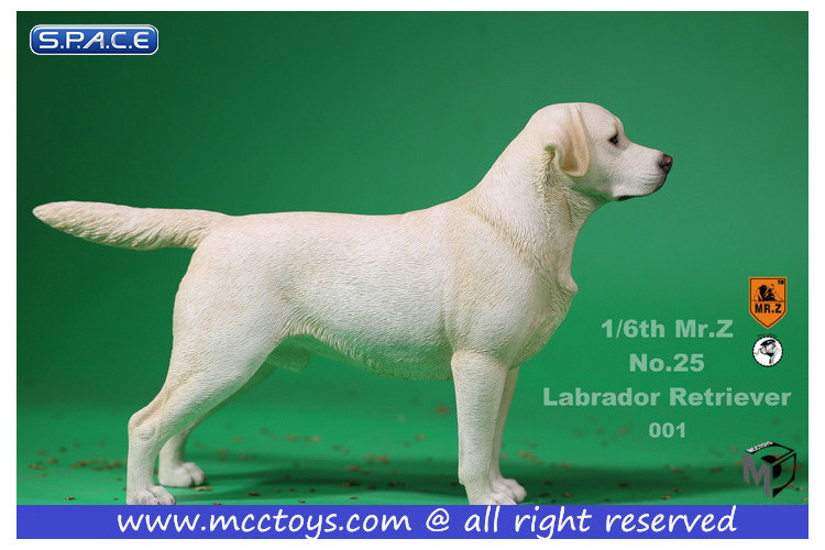 1/6 Scale Labrador Retriever creme