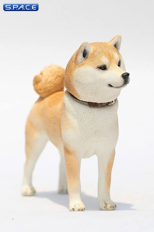 1/6 Scale Shiba Inu red