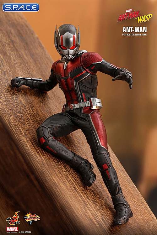 1/6 Scale Ant-Man Movie Masterpiece MMS497 (Ant-Man and the Wasp)
