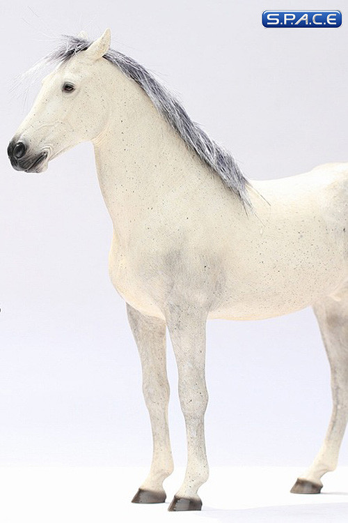 1/6 Scale white Ili Horse