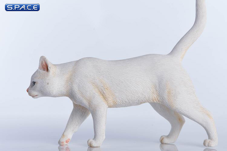 1/6 Scale white Cat