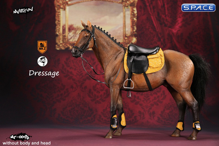 1/6 Scale brown Horse and Dressage Outfit Set
