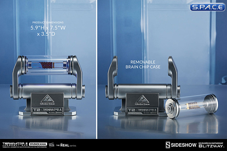 1:1 Scale T-800 Endoskeleton Arm and Brain Chip Replica (Terminator 2)