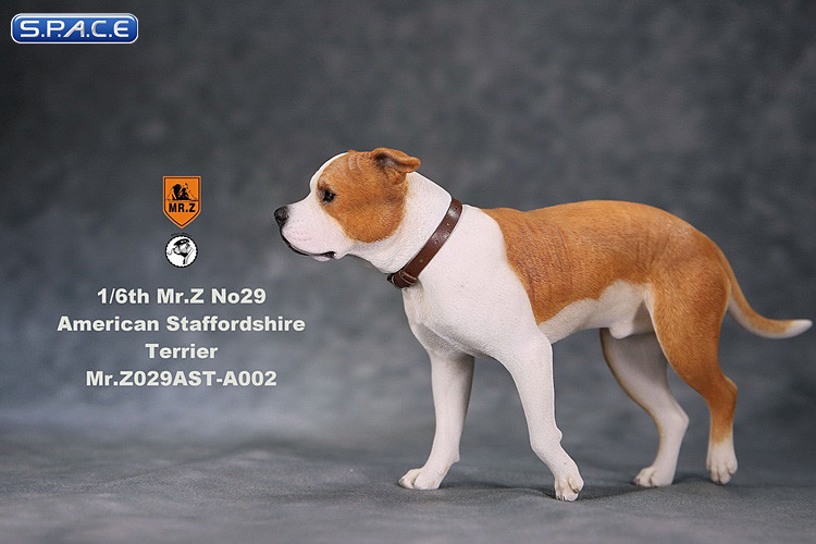 1/6 Scale walking red & white American Staffordshire Terrier