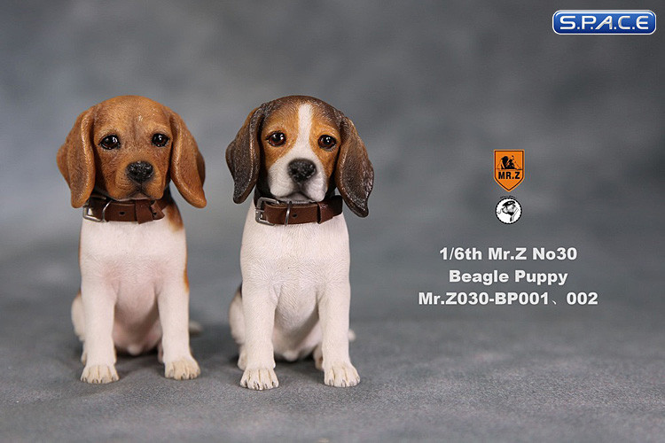 1/6 Scale red face tri-color Beagle Puppy