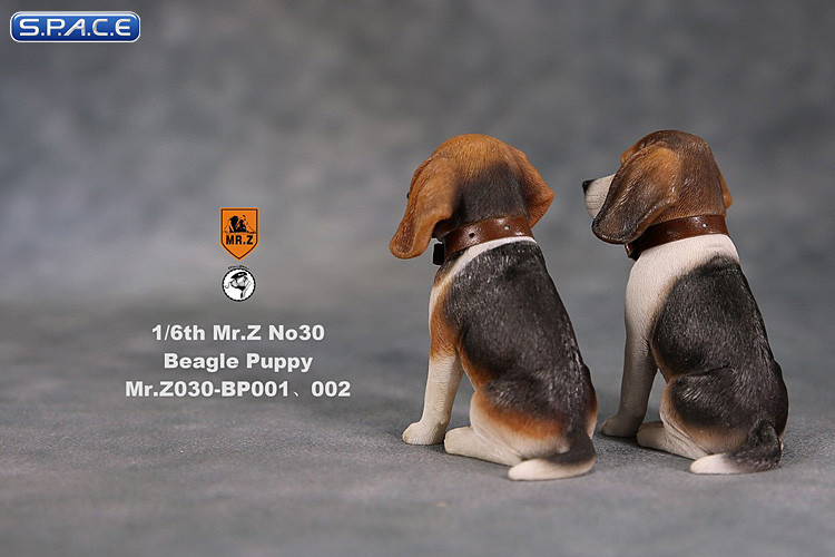 1/6 Scale tri-color Beagle Puppy