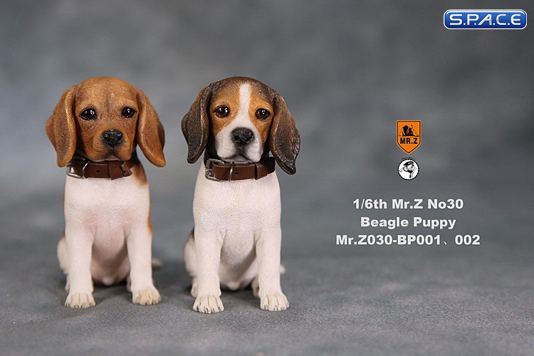 1/6 Scale tri-color Beagle Puppy