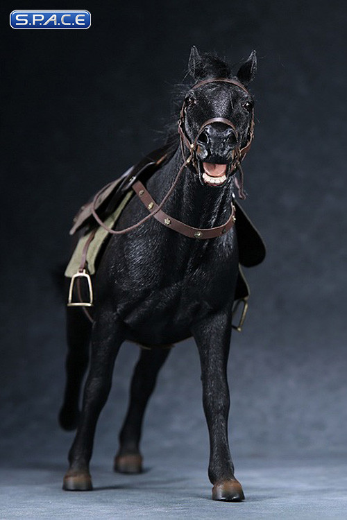 1/6 Scale black walking Mongolica Horse