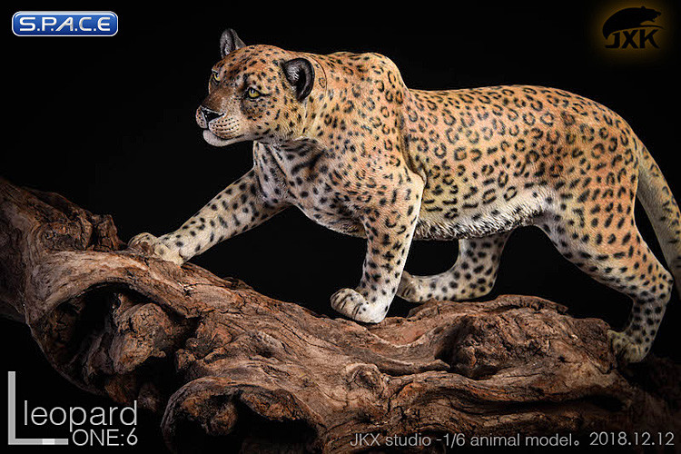 1/6 Scale classic pattern Leopard