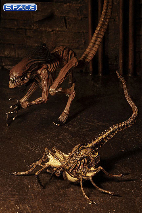 Alien Creature Accessory Pack (Alien 3)