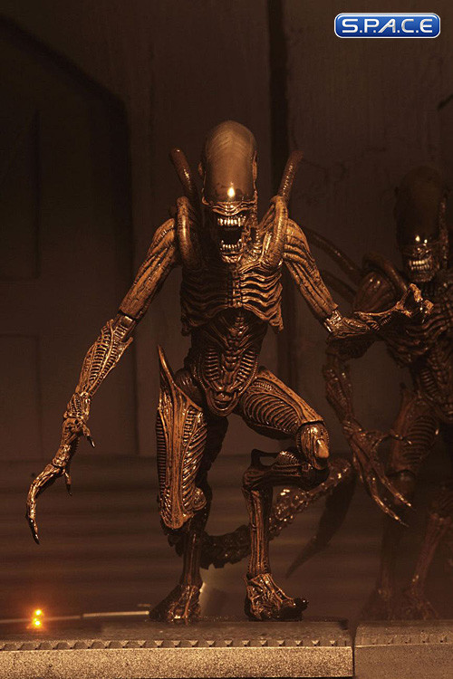 Complete Set of 2: Aliens Series 14 (Alien: Resurrection)