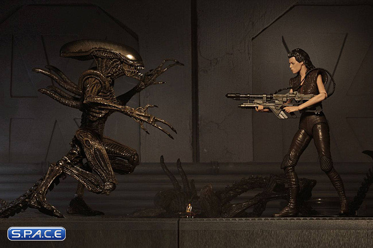 Complete Set of 2: Aliens Series 14 (Alien: Resurrection)