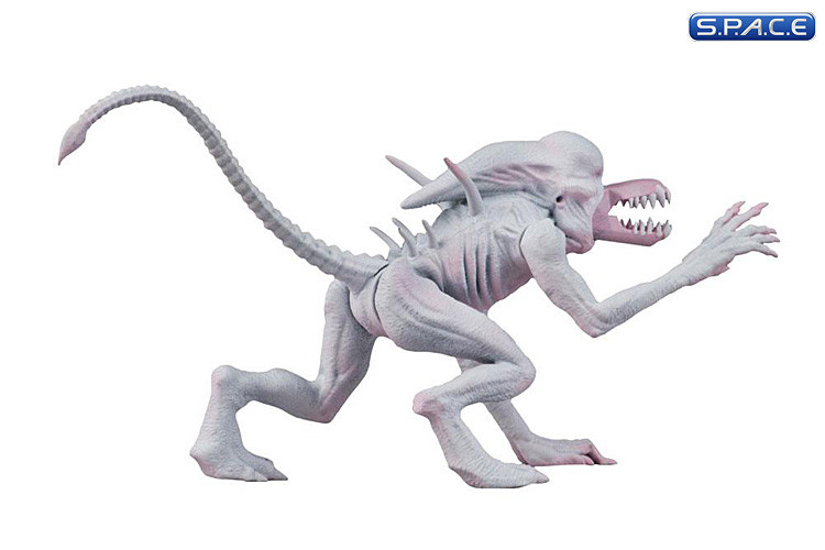 Set of 2: Alien & Predator Classics Series 1 (Alien vs. Predator)