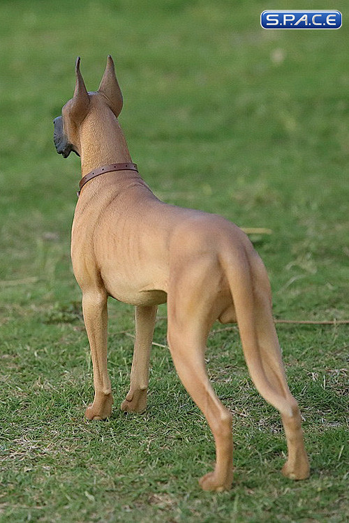 1/6 Scale beige Great Dane