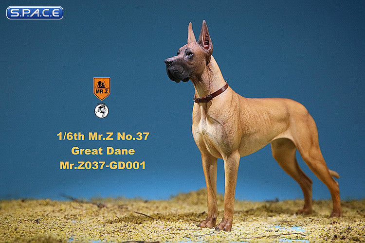 1/6 Scale beige Great Dane