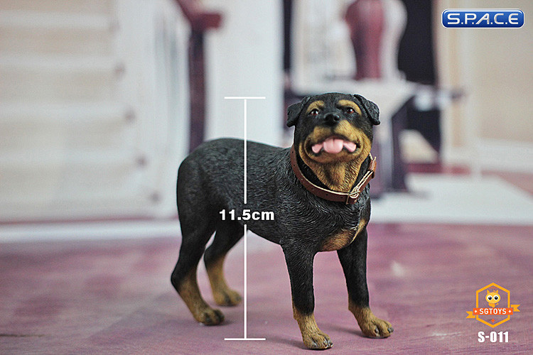 1/6 Scale Rottweiler