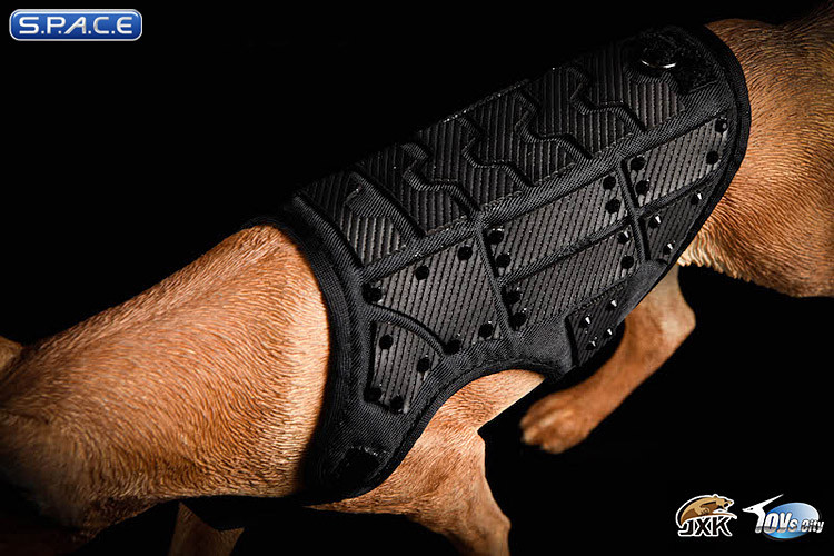 1/6 Scale dark brown Malinois with Tactical Outfit