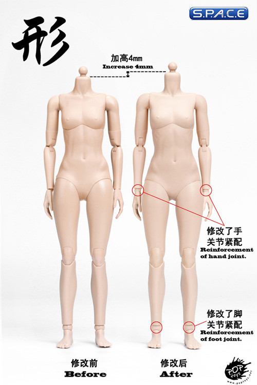 1/6 Scale female pale Body (2019 Version / large Breast / with joints)