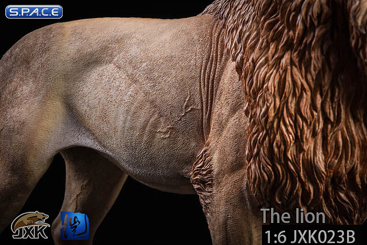 1/6 Scale grey Lion