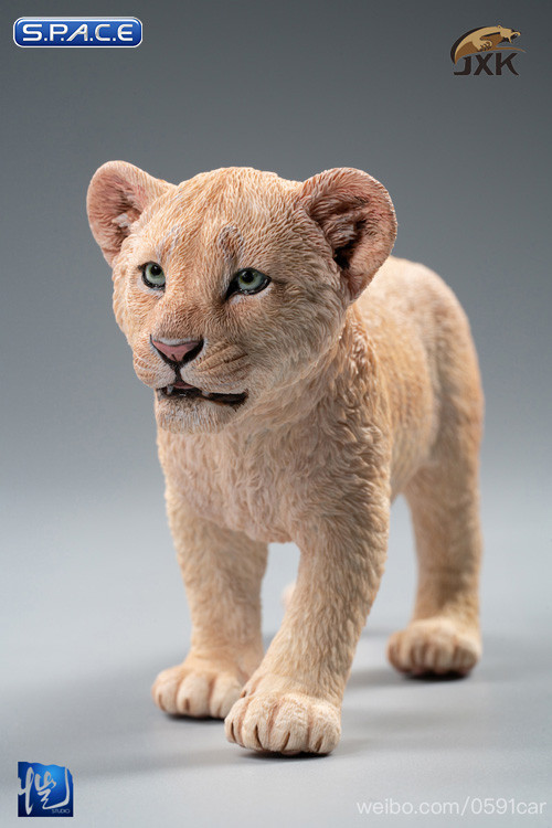1/6 Scale sand-colored Simba