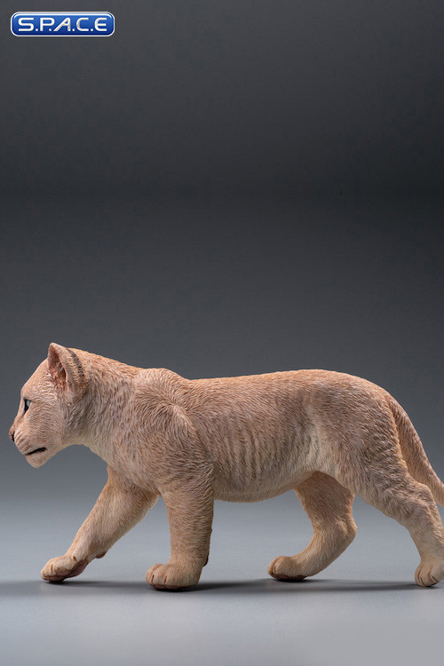 1/6 Scale sand-colored Nala