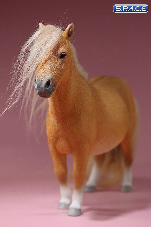 1/6 Scale sorrel Shetland Pony