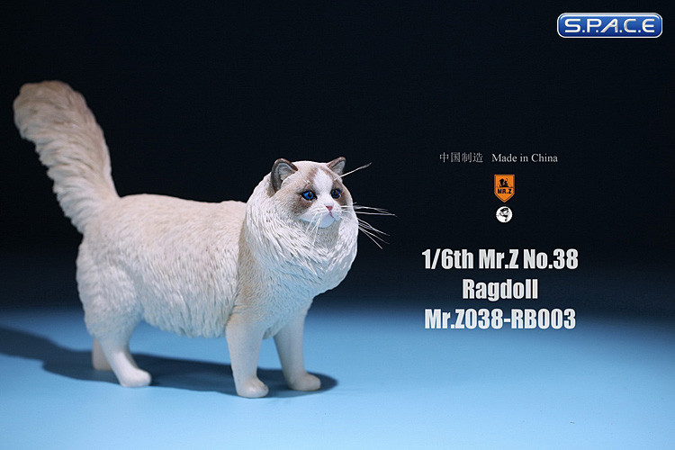 1/6 Scale Ragdoll Version C