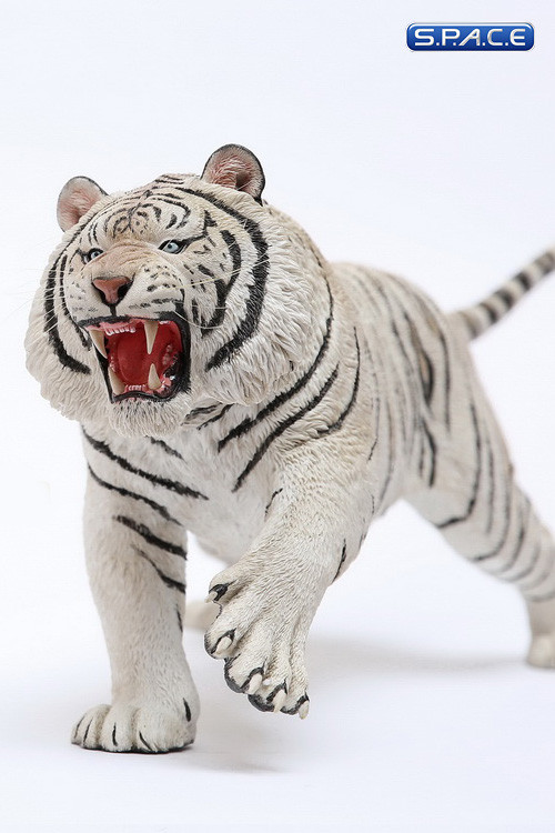 1/6 Scale white attacking Tiger - Panthera Tigris Altaica