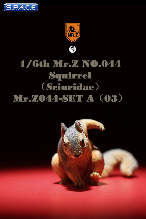 1/6 Scale Squirrel Set A