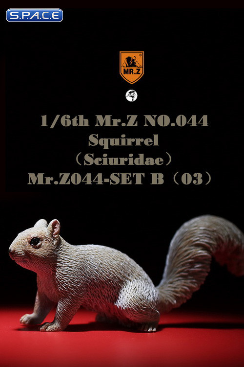 1/6 Scale Squirrel Set B