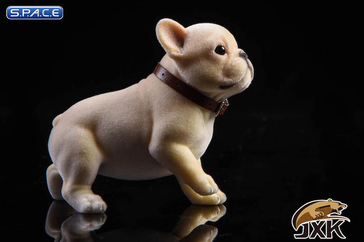 1/6 Scale French Bulldog Puppy (beige)