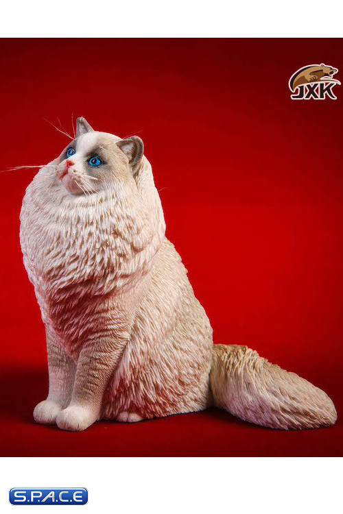 1/6 Scale sitting Ragdoll (blue bicolor)