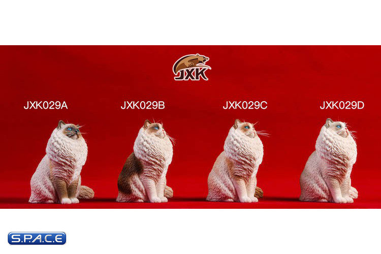 1/6 Scale sitting Ragdoll (blue bicolor)