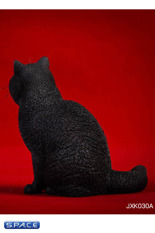 1/6 Scale sitting British Shorthair Cat (black)