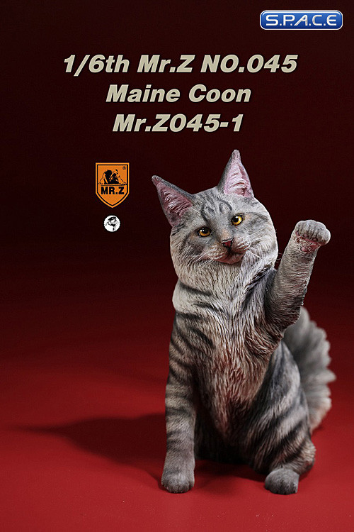 1/6 Scale Maine Coon (black silver tabby)