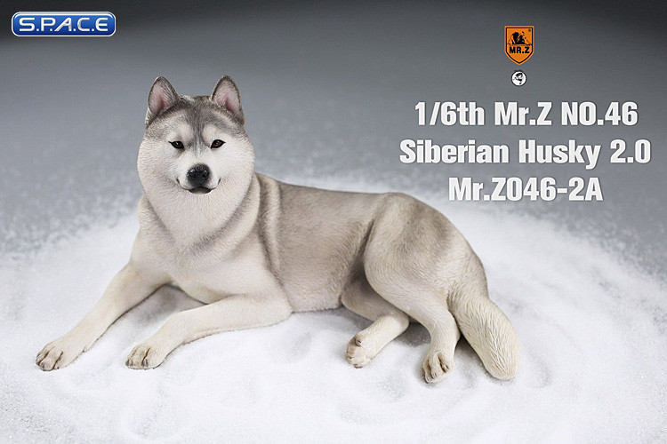 1/6 Scale lying Siberian Husky (silver)