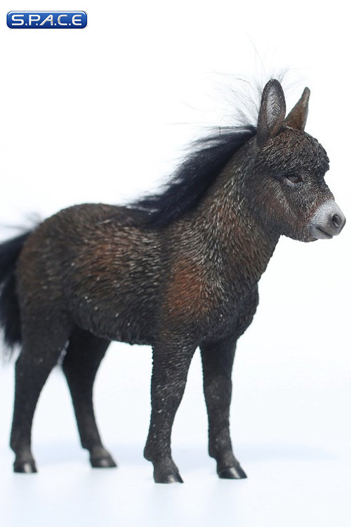 1/6 Scale Dwarf Donkey Foal (black)