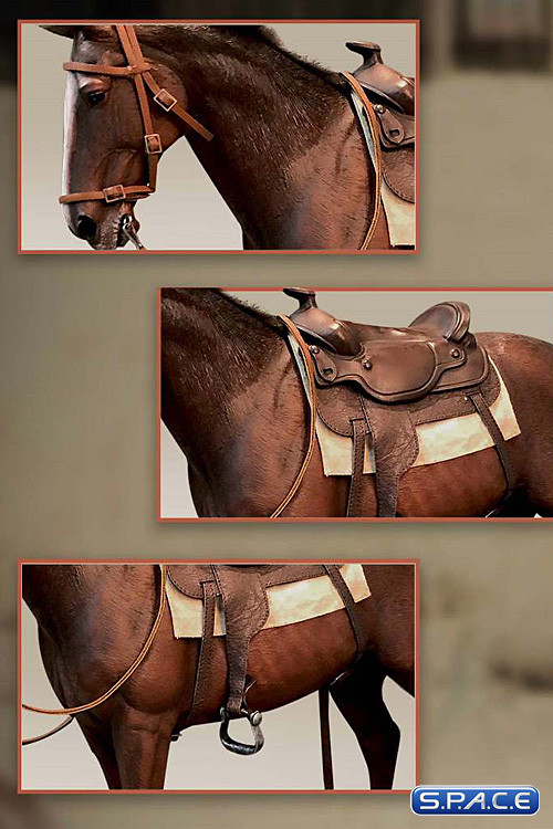 1/6 Scale Cowboy Horse