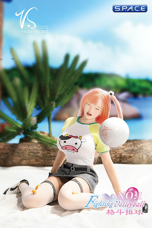 1/6 Scale Volleyball Girl