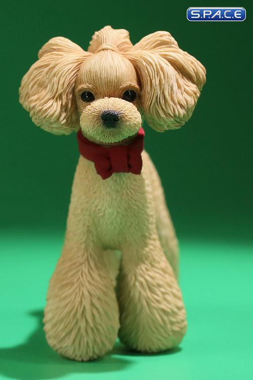 1/6 Scale Toy Poodle (light gold)