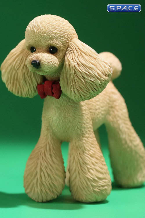 1/6 Scale Toy Poodle (light gold)