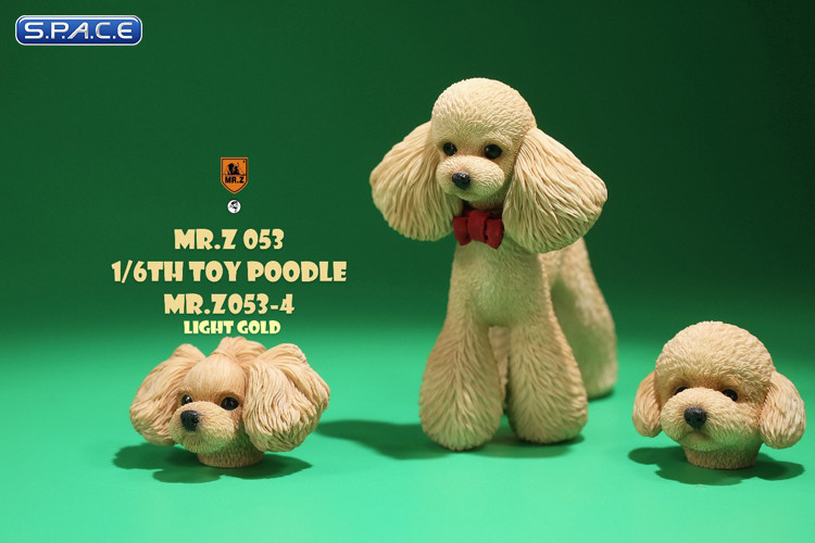 1/6 Scale Toy Poodle (light gold)